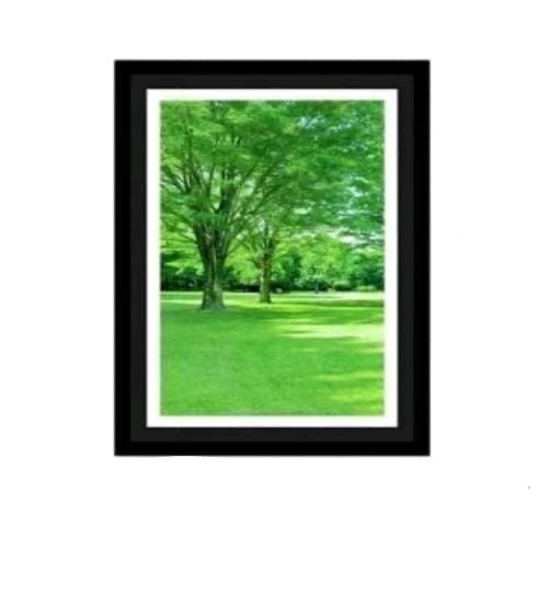 Ludh Green Scenery Frame
