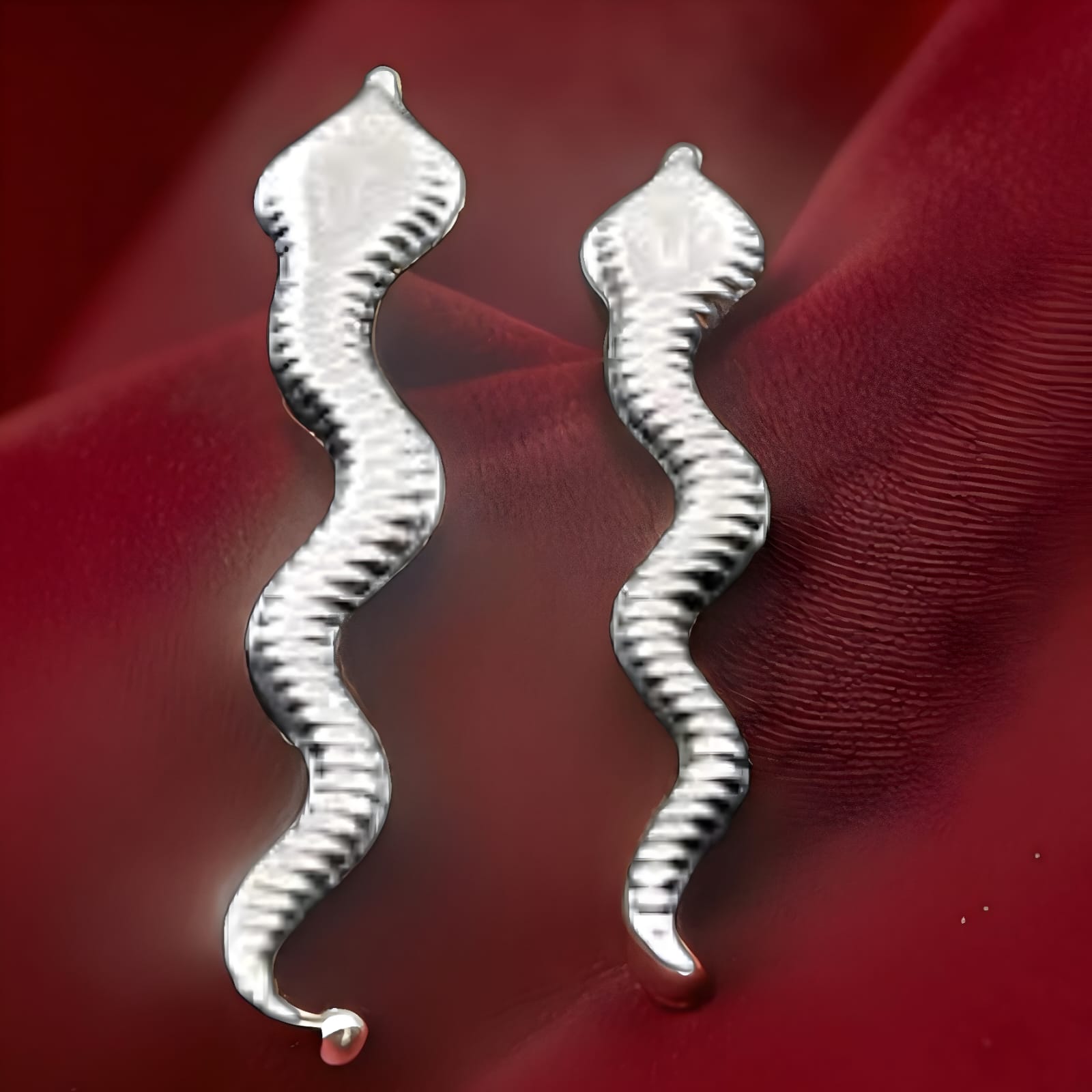 Raanga Naag Nagin Snake Pair