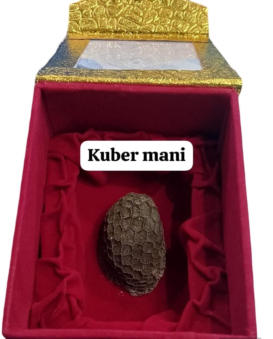 Kuber Mani - Image 2