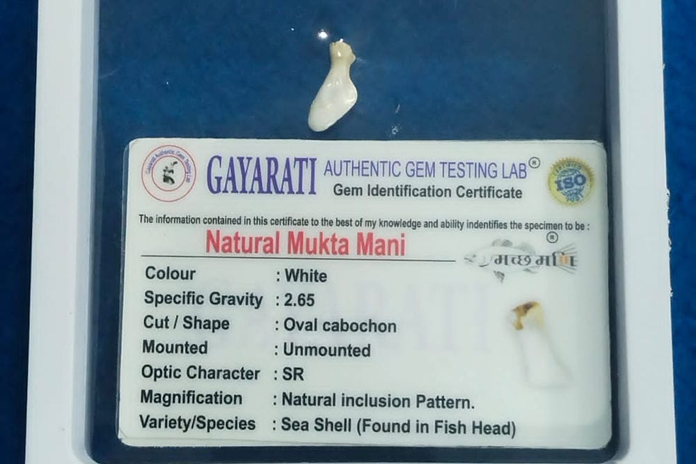 Mukta Mani - Image 2