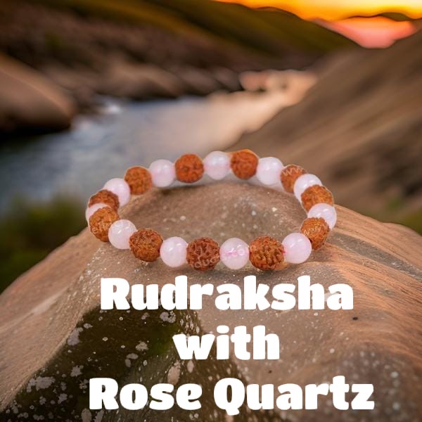 Rudraksha With Rose Quartz Bracelet